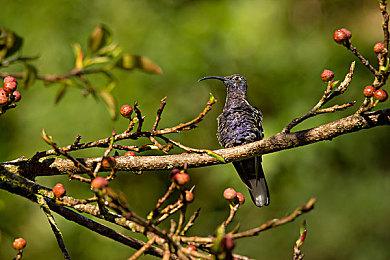 消息称索尼PS游戏订阅服务分3个档次价格各有不同